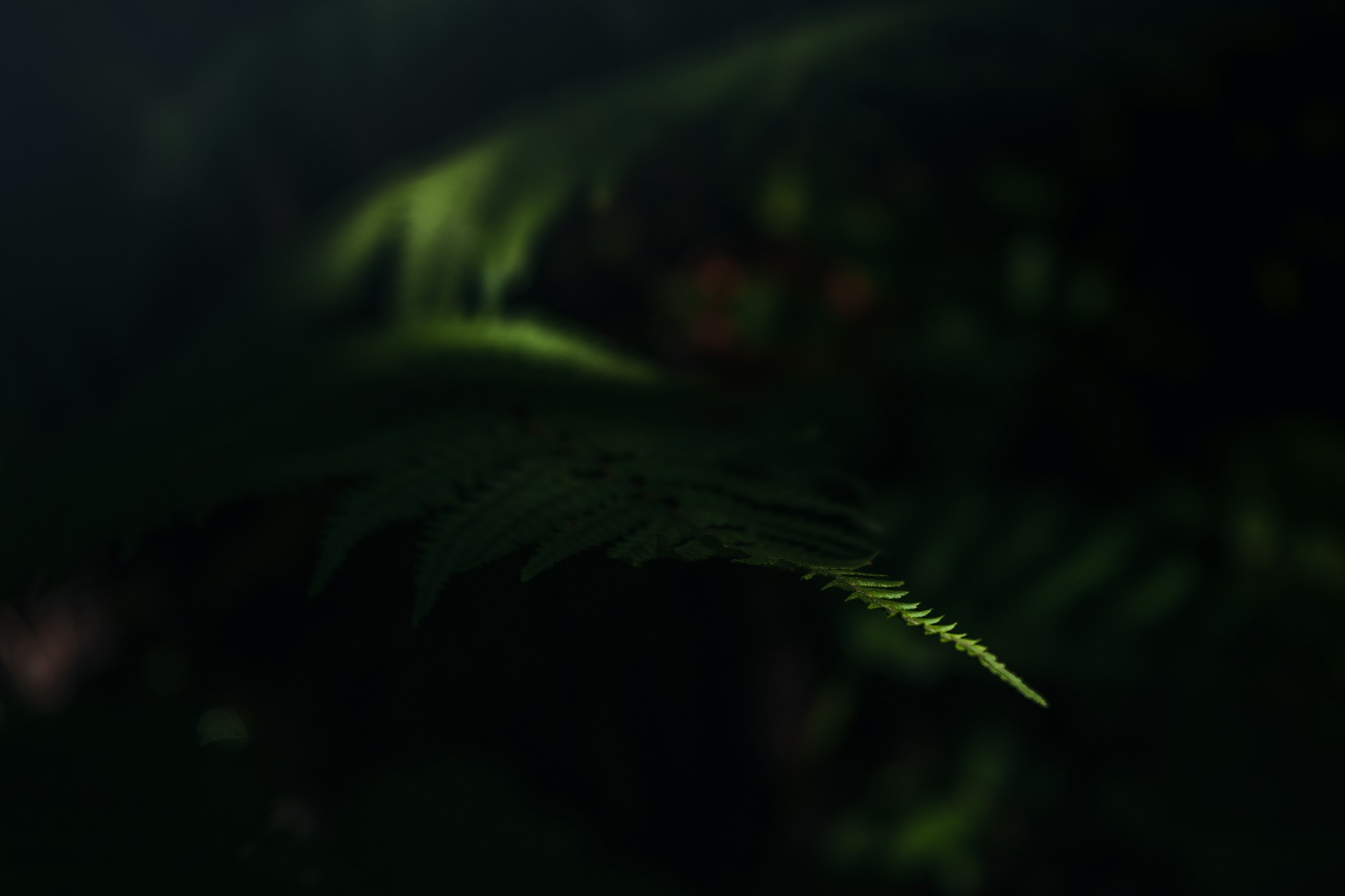 Urban Cityscape Background